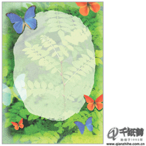 彩虹鸟(Rainbowbird) rbb-91 彩色书写纸 (210*