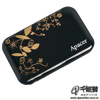 Apacer��հAM250���һ��������ʱ��������ۡ�֧��SDHC��