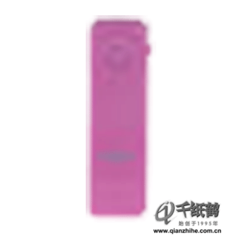 Creative创新 MuVo T100 2G MP3播放器(粉色)