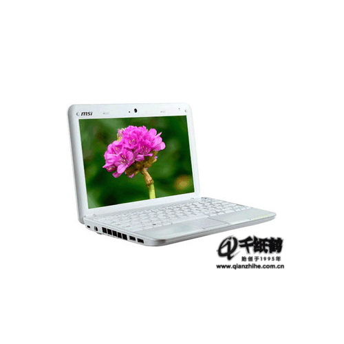 MSI΢�� U123H 10.2Ӣ��ʼǱ� ��N270,1G,160G,XPH,����ͷ,����,��������ɫ 3G������